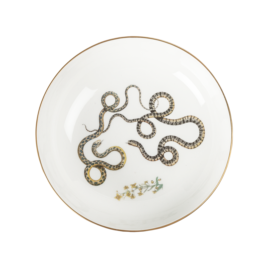 Soup Bowl - Intertwined Snakes - Set of 6