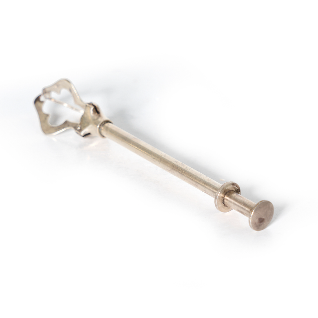 Silver Ice Tongs