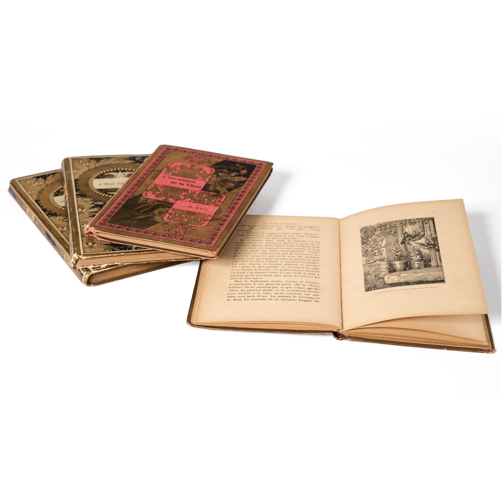 French Art Nouveau Antique Book
