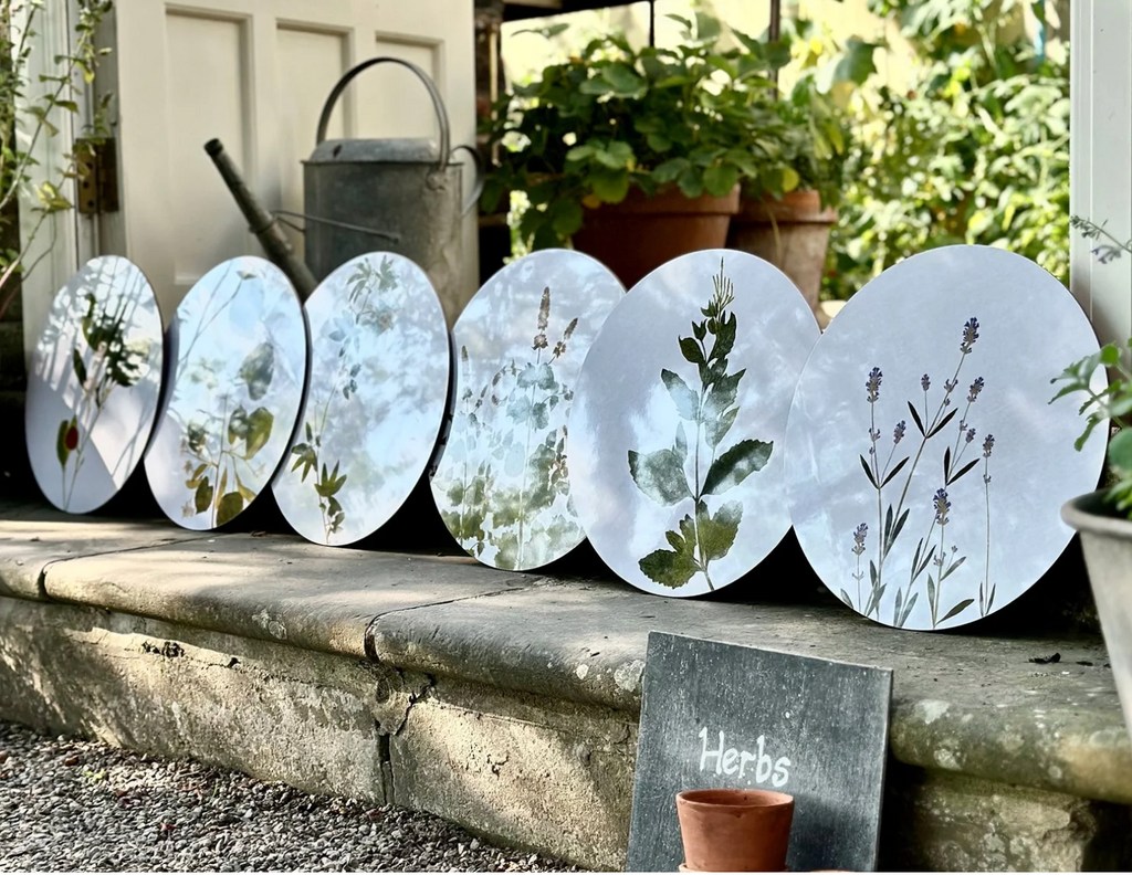 Herbarium Round Cork-backed Placemat  by Summerill & Bishop - Set of 6