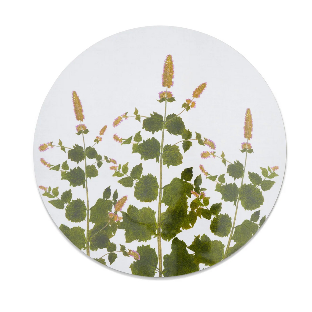 Herbarium Round Cork-backed Placemat  by Summerill & Bishop - Set of 6