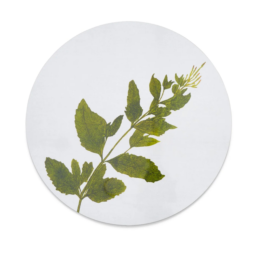 Herbarium Round Cork-backed Placemat  by Summerill & Bishop - Set of 6