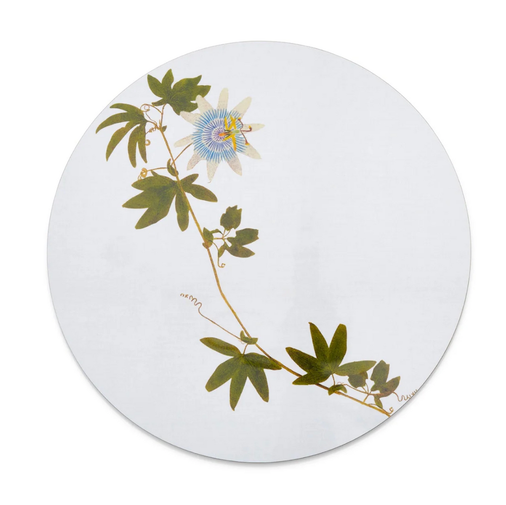Herbarium Round Cork-backed Placemat  by Summerill & Bishop - Set of 6