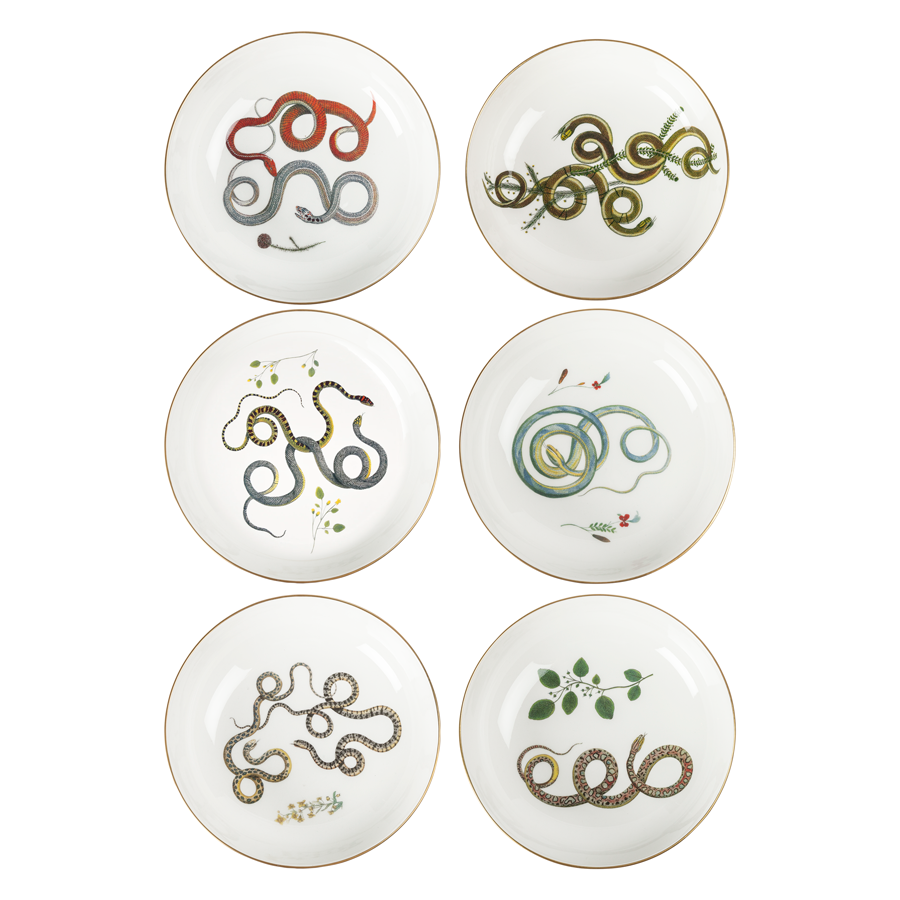 Soup Bowl - Intertwined Snakes - Set of 6