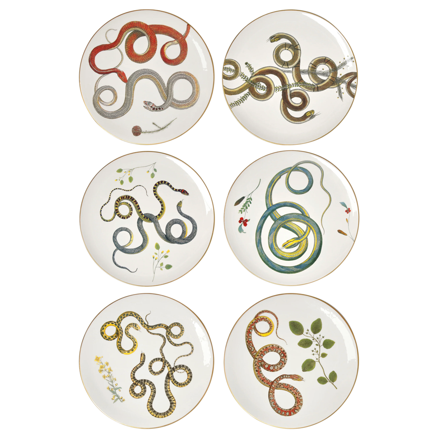 Charger - Intertwined Snakes - Set of 6