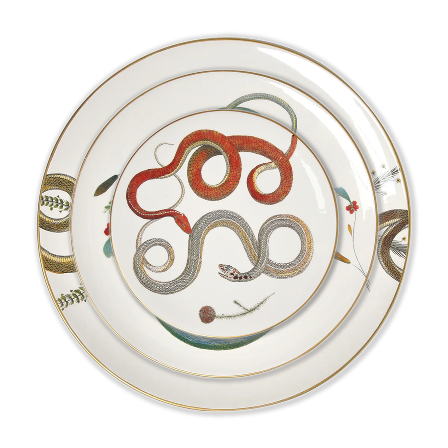 Dinnerware - Intertwined Snakes- Set of 6