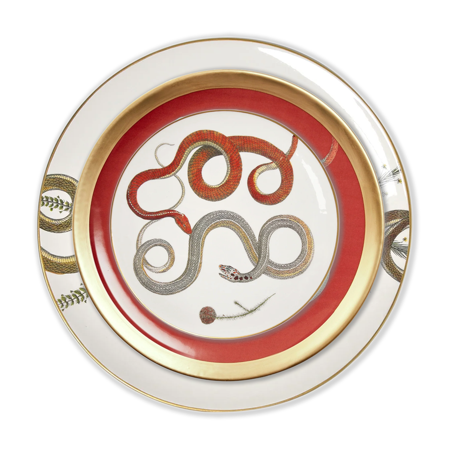 Dinnerware - Intertwined Snakes- Set of 6