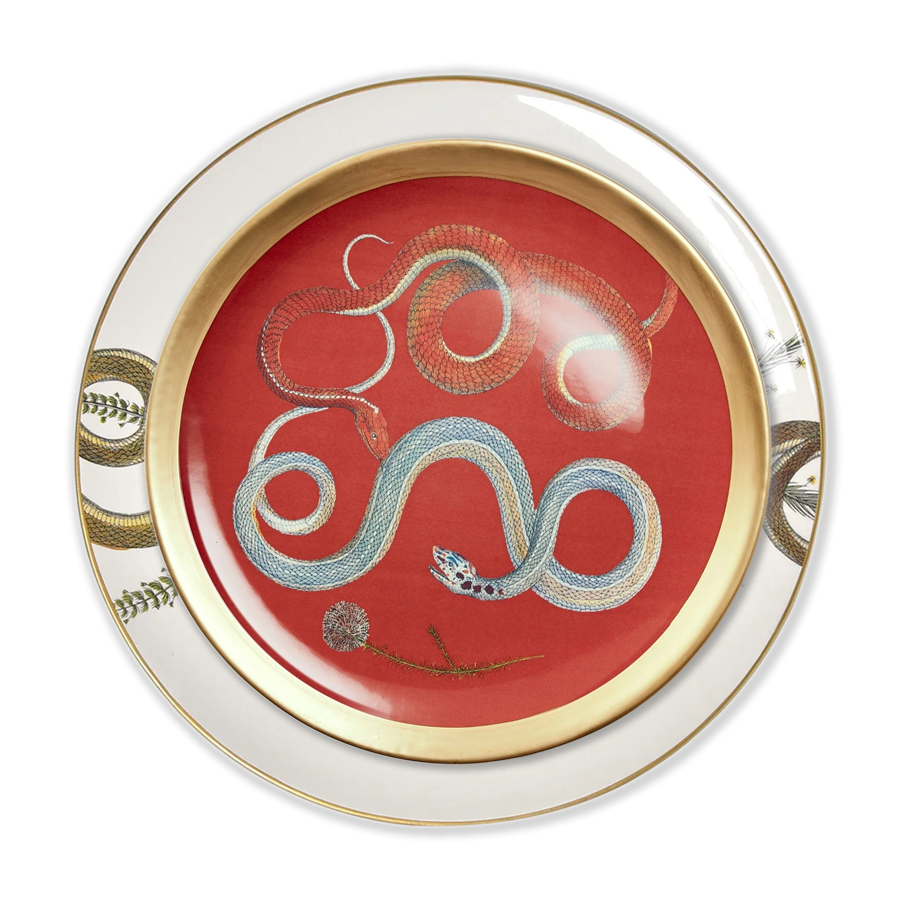 Dinnerware - Intertwined Snakes- Set of 6