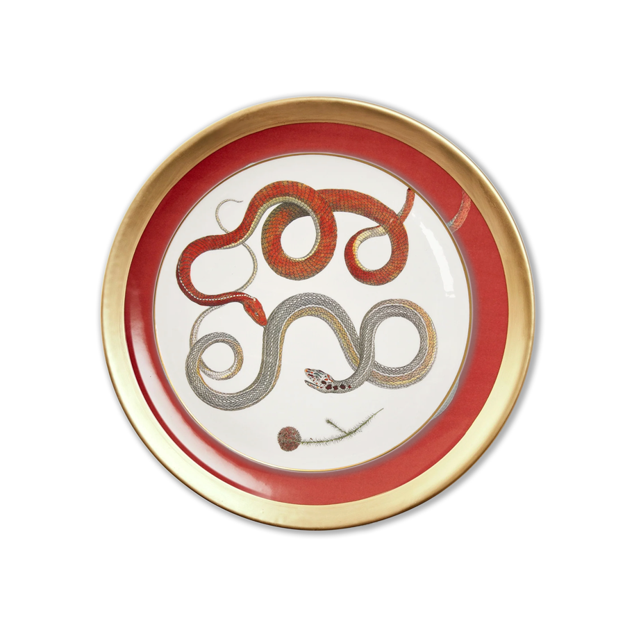 Dinnerware - Intertwined Snakes- Set of 6