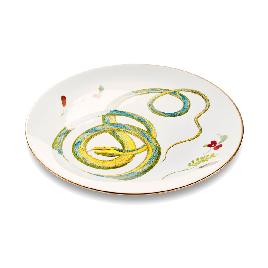 Dinnerware - Intertwined Snakes- Set of 6