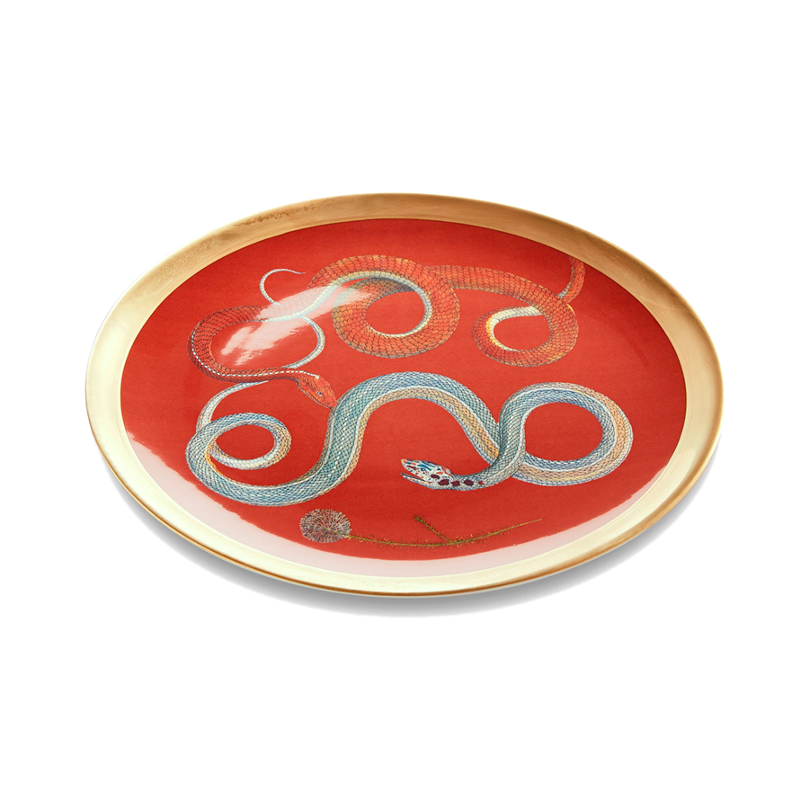 Dinnerware - Intertwined Snakes- Set of 6