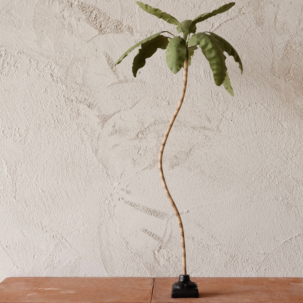 Tole Tall Felt Bush by Casa Gusto