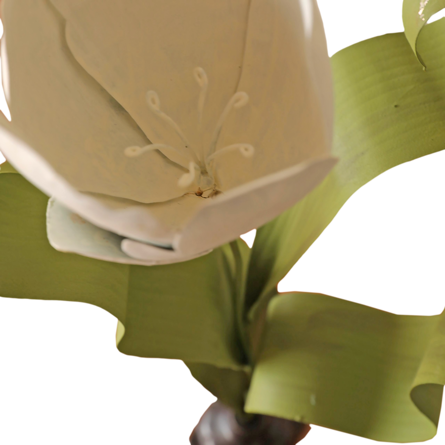 Tole Parrot Tulipe by Casa Gusto