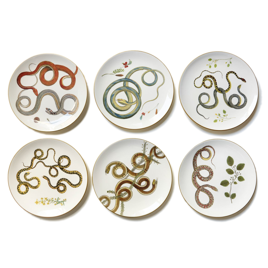 Dinnerware - Intertwined Snakes- Set of 6