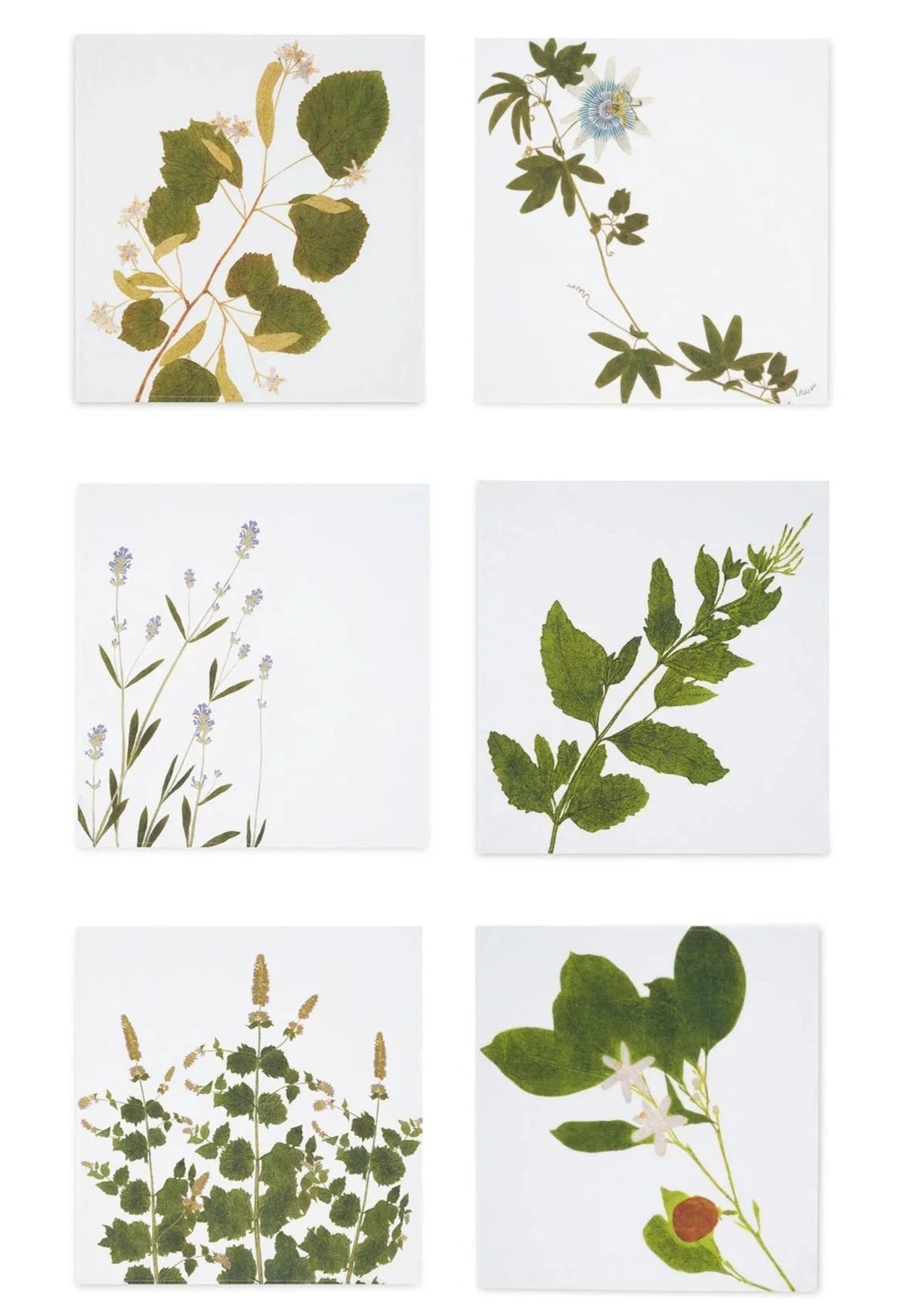 Set of Six 'Tisane' Herb Linen Napkins by Summerill & Bishop – Found by Maja